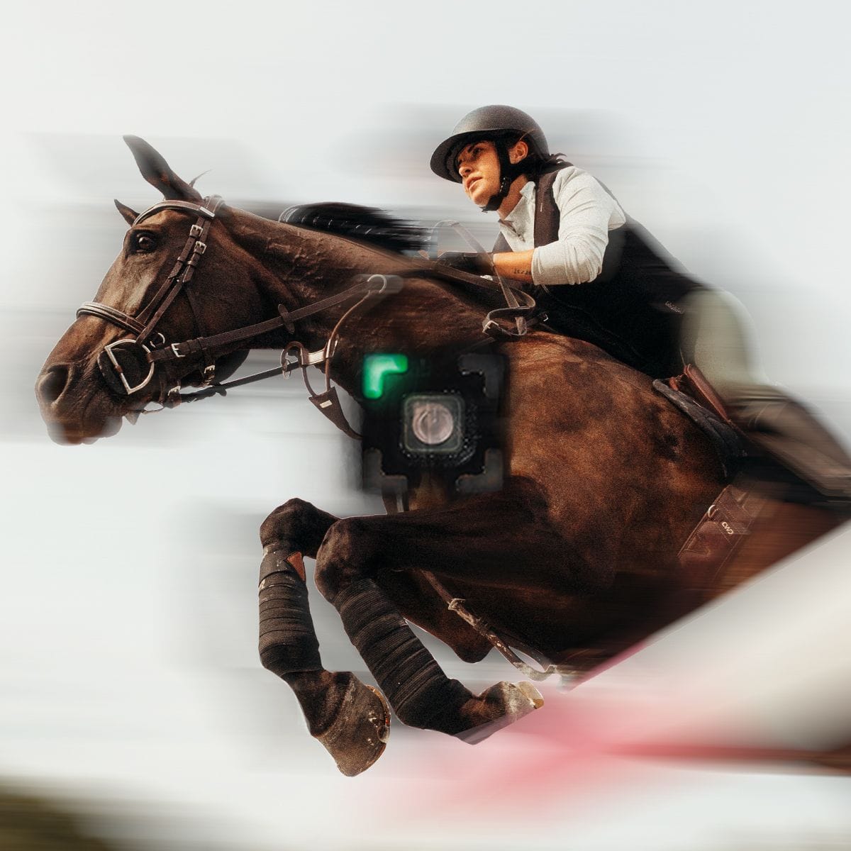Equestrian rider in helmet on a brown horse mid-jump with a sensor.
