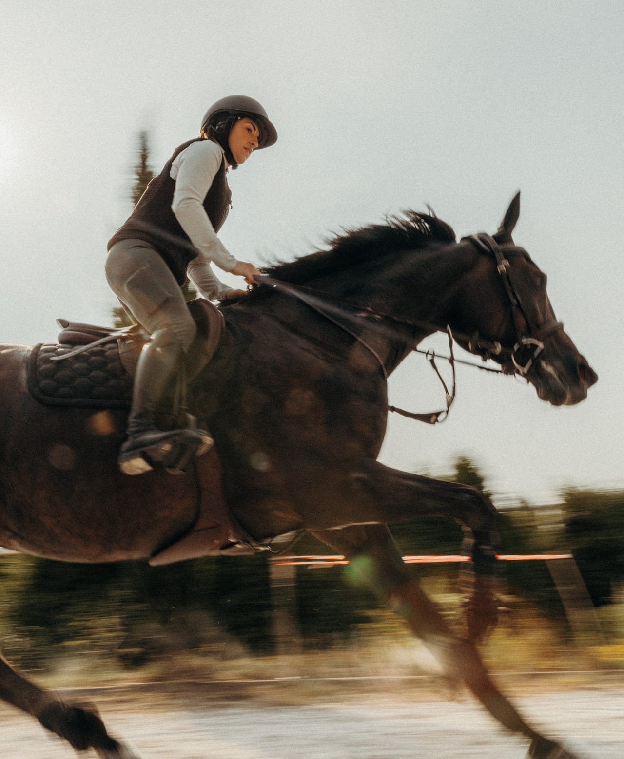 A person in a helmet rides a galloping dark horse on a sunny day.