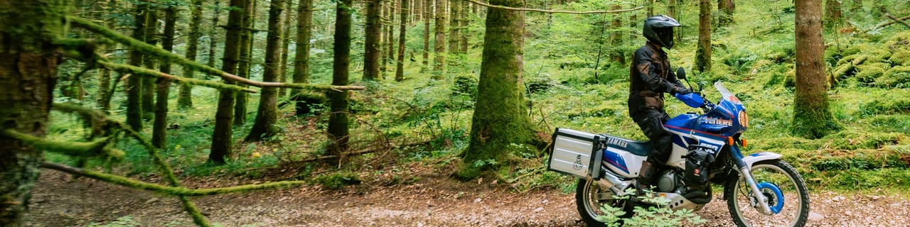 A motorcyclist on a blue and white adventure bike navigates a dirt path through a lush green forest.