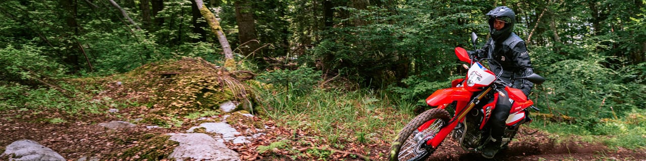 A person on a red dirt bike navigates a muddy, rocky path through a dense green forest.