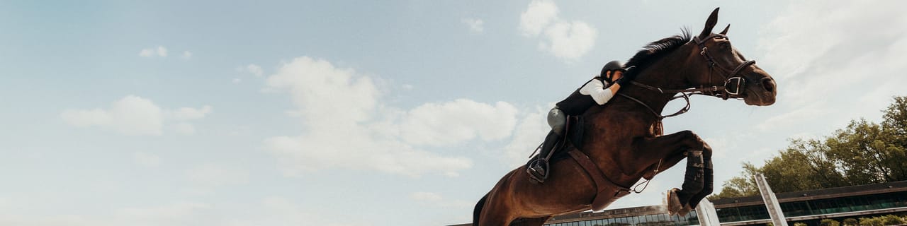 A dark brown horse and rider jump over an obstacle with a blue sky background.